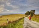 Tarmac path through green fields towards a distant lighthouse