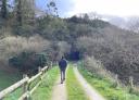 Hiker walking along a path next to a wooden fence