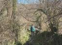 Person walking along a wooded path on a sunny day, enjoying the tranquillity of the forest.