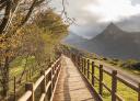 Wooden footbridge between trees with cloudy mountains in the background in a breathtaking landscape.