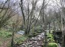 Rustic bridge over the stream surrounded by greenery