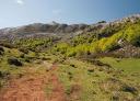 Road with vegetation and mountains in the background