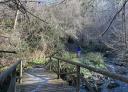 Wooden bridge over a stream surrounded by vegetation with a hiker in the background.