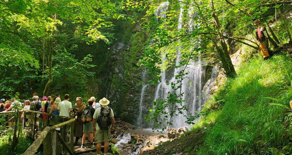 Go to Image Activities and plans for this summer in Asturias