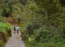Two hikers on a gravel path winding through dense green vegetation.