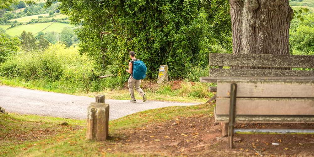 Un peregrino camina por un sendero rural del Camino de Santiago a su paso por San Salvador de Priesca, con una señalización en el camino.