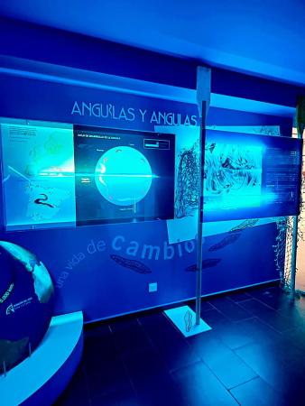 Exhibition in the interior of the Puerta del Mar office in Soto del Barco.