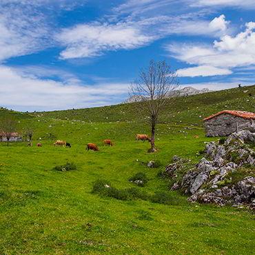 Majada de Belbín in Onís