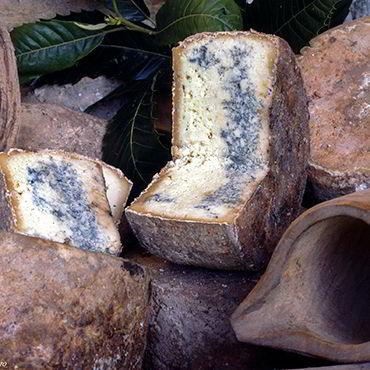 Gamonéu del puerto cheese