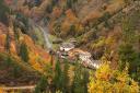 View of several houses in a valley with colourful autumn trees.