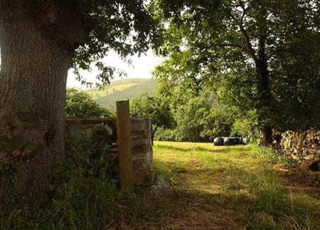 Archaeological Route through Cabruñana