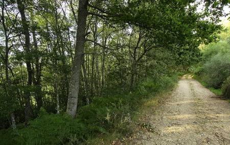 Imagen Ruta por el entorno de Grandas