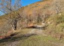 A dirt road runs through the vegetation on a mountainside.