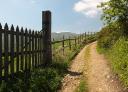 Dirt path with a wooden fence and vegetation on one side of the path.