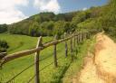 A rural path runs alongside a wooden fence with extensive vegetation in the background.