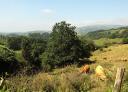 Vues larges de champs et de collines verdoyantes sous un ciel sans nuage dans les Asturies.