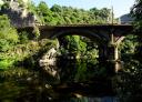 Old stone bridge in a natural setting surrounded by lush vegetation