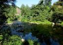 River with clear water and visible rocks, flowing between wooded banks