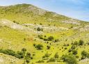 Hill covered with low, sparse vegetation under blue skies