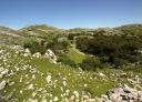 Mountainous landscape with sparse vegetation and clear skies