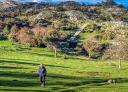 Hiker crossing a meadow with mountain scenery in the background