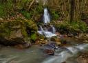 Waterfall in an environment of lush vegetation