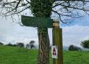 A wooden sign with arrows indicates the direction of the Merillés dolmen in a meadow.