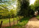 Dirt road flanked by trees and wooden fence