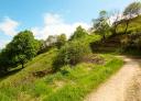Meandering path up a green hill under blue skies