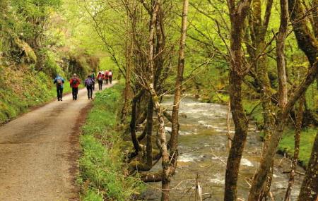 Vía Verde, Fuso de la Reina en Oviedo