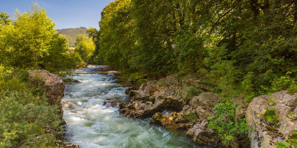 Coto salmonero El Golondrosu en el río Sella, Cangas de Onís, con aguas rápidas descendiendo entre rocas y rodeado de una frondosa vegetación de ribera bajo cielo despejado.