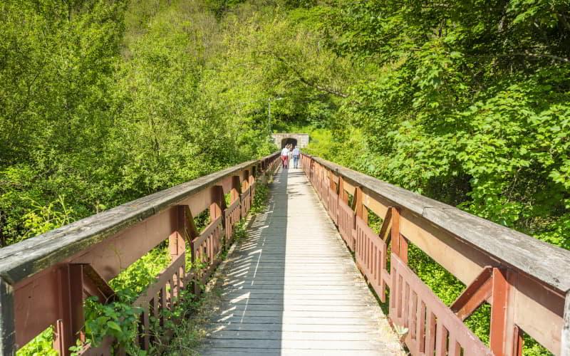 Pasarela de madera rodeada de vegetación que conduce a la Bocamina La Sota en Laviana, con varias personas caminando hacia la entrada del túnel minero al fondo.