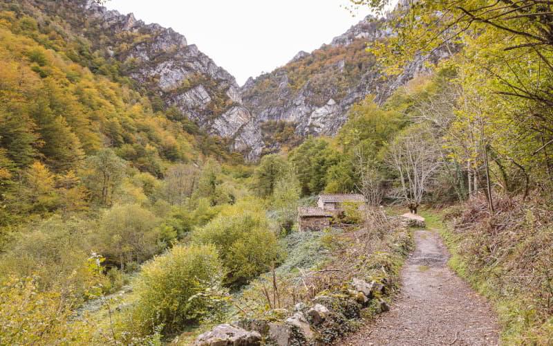 Sendero del desfiladero de Los Arrudos, en Caso, rodeado de frondosa vegetación otoñal y montañas rocosas al fondo, con una pequeña construcción de piedra junto al camino.