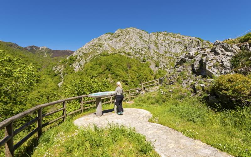 Mirador del puerto de Tarna en Caso, con una persona observando el paisaje desde el panel interpretativo, rodeado de barandillas de madera, prados verdes y montañas rocosas bajo un cielo azul despejado.