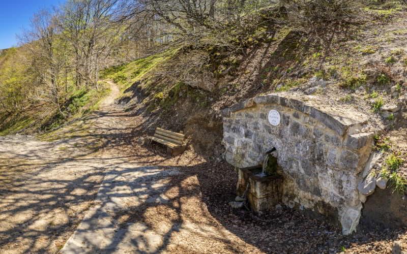 Fuente La Nalona en Caso, fuente de piedra situada al borde del camino, rodeada de árboles de ramas desnudas y un banco de madera cercano bajo cielo azul despejado.