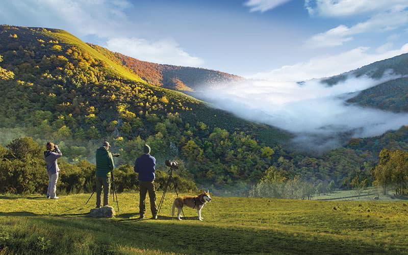 Tres ecoturistas contemplando un paisaje de montaña cubierta de vegetación, con cámaras profesionales y trípodes; uno de ellos observa con prismáticos mientras un perro husky rojo permanece tranquilo a su lado. Al fondo se extienden montañas verdes con bancos de niebla entre los valles bajo un cielo parcialmente despejado.