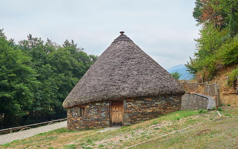Palloza en Ibias con base de piedra, puerta de madera y pequeña ventana, cubierta por un techo de paja de forma cónica y alargada; situada en una ladera junto a un grupo de árboles, bajo un cielo completamente nublado.