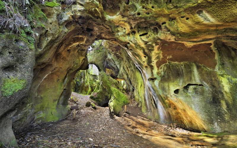 Interior de las Cuevas de Andina, con paredes rocosas erosionadas que presentan formas irregulares y tonalidades verdes y ocres cubiertas de musgo. El suelo es terroso y la luz natural penetra suavemente desde las aberturas del fondo.