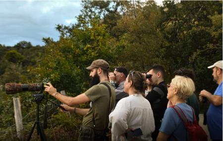 Imagen El Bramido de la Montaña. Berrea