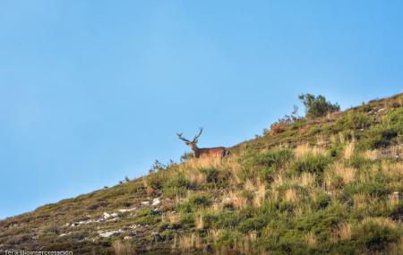 Terix Biointerprétation