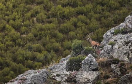 Terix Biointerprétation