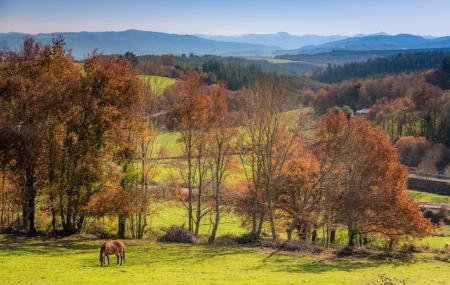Paisagem rural em San Martín de Oscos - San Martín de Oscos