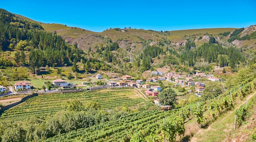 A rural area with vineyards in western Asturias