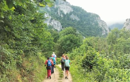 Imagen Faro del sur travel and adventure