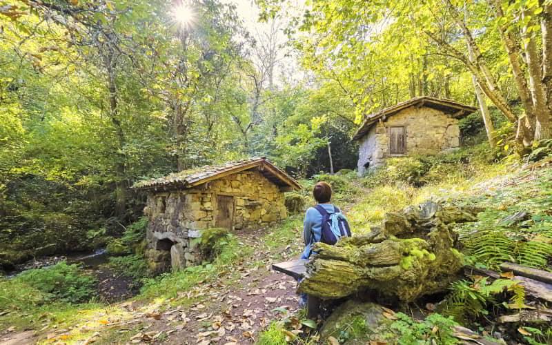 Persona sentada en un banco de madera observa dos pequeños molinos de piedra con tejado de teja en medio de un bosque frondoso. La luz del sol se filtra entre los árboles, iluminando la vegetación y el entorno natural de la ruta de los Molinos del Corroriu.