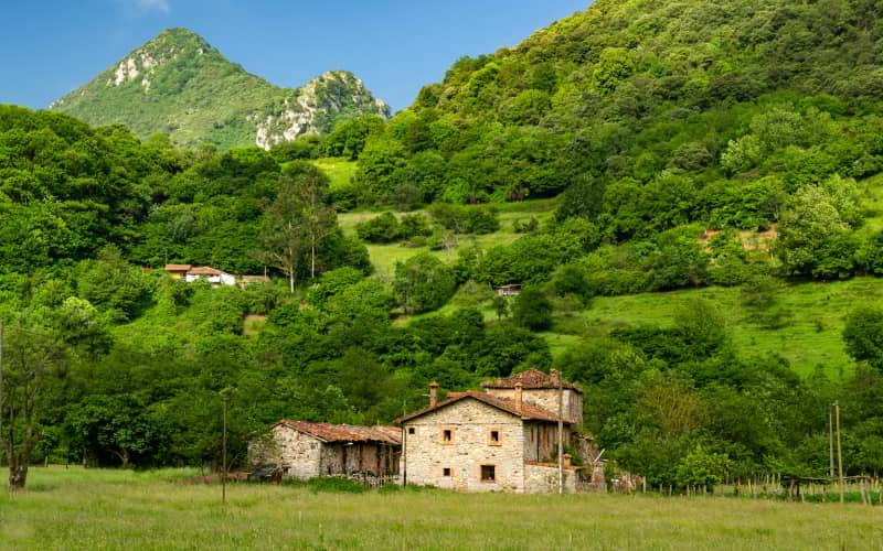Casa rural de piedra con tejado de teja situada en un prado rodeado de montes cubiertos de vegetación en Santo Adriano. El entorno muestra un paisaje verde con bosques y laderas bajo luz diurna y cielo despejado.