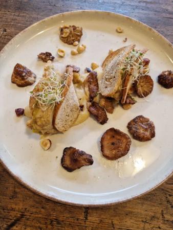 Mushroom cake - La Senderuela