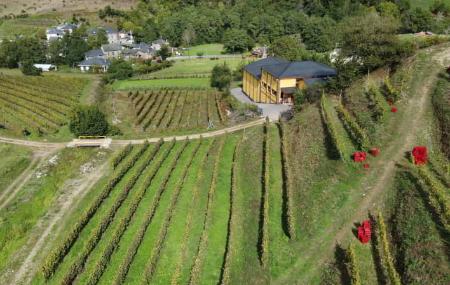 Siluvio Wineries and Vineyards 4