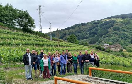 Imagen Siluvio Wineries and Vineyards