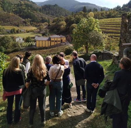 Siluvio Bodegas y Viñedos 8